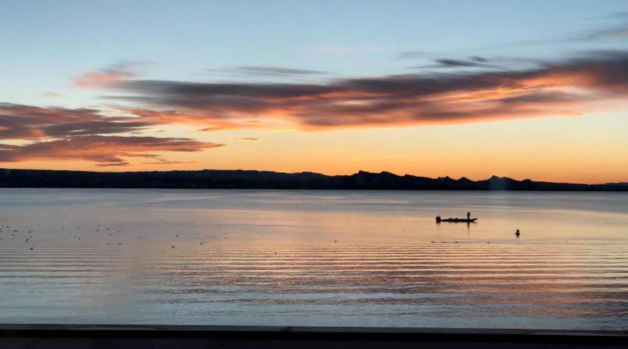 Havasu Landing Resort And Casino Havasu Lake Eksteriør billede